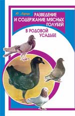 Разведение и содержание мясных голубей в род.усад.