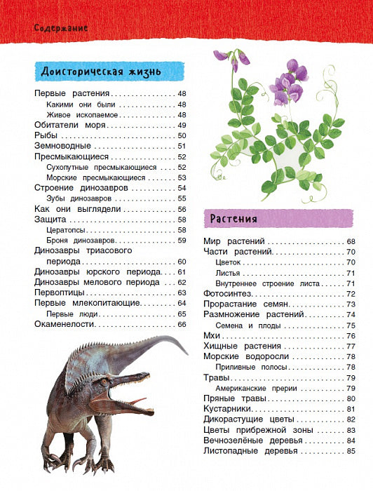 Большая иллюстрированная энциклопедия (нов.)