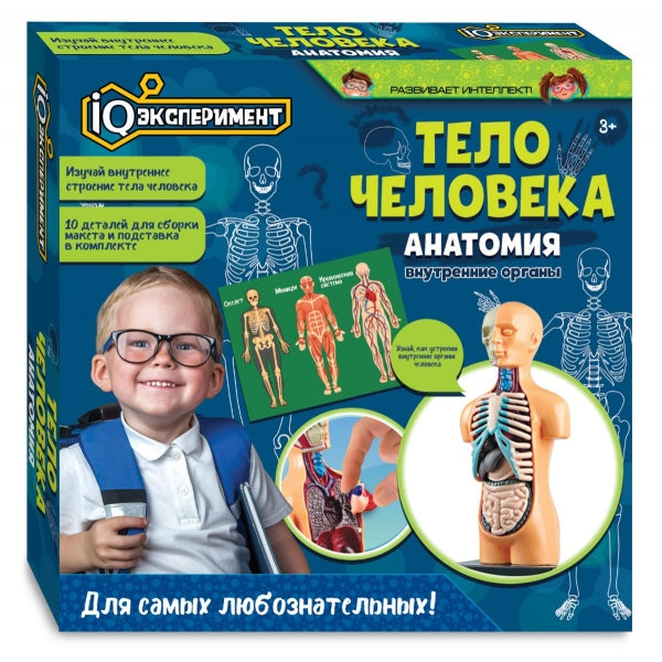 Игрушка опыты тело человека IQ Эксперимент в кор.2*48шт