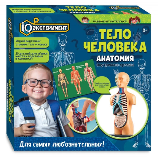 Игрушка опыты тело человека IQ Эксперимент в кор.2*48шт