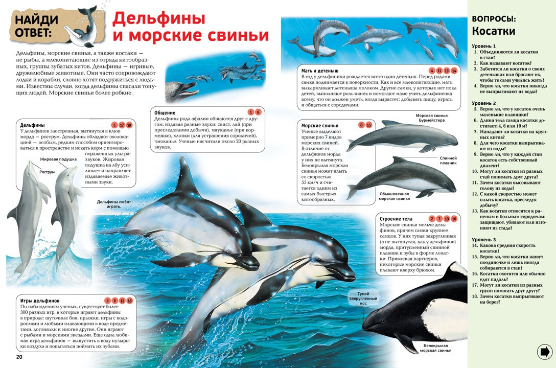 Интерактивная энциклопедия для школьников. Ответы на 1000 вопросов