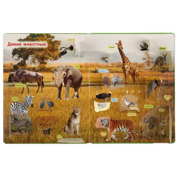 "УМКА". ЖИВОТНЫЕ. 100 ОКОШЕК ДЛЯ МАЛЫШЕЙ. ФОРМАТ: 222Х282 ММ. ОБЪЕМ: 12 КАРТОННЫХ СТР. в кор.12шт