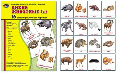 Демонстр. картинки "Дикие животные -1" (173х220мм)