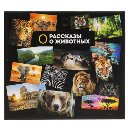 Игрушка пластизоль динозавр спинозавр 14*7*5см, инд. дисплей ТМ "ИГРАЕМ ВМЕСТЕ" в кор.2*90шт
