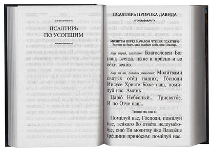 Псалтирь и каноны по усопшим для слабовидящих