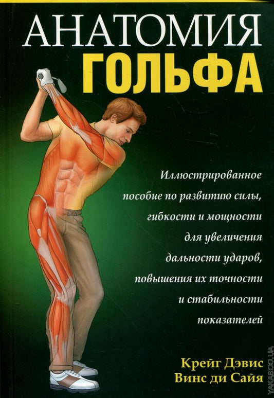 Анатомия гольфа