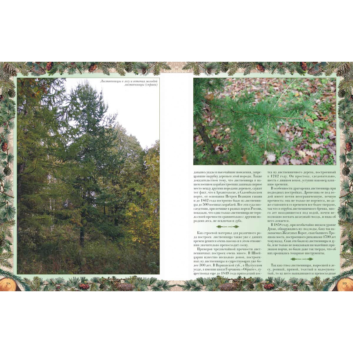 Беседы о русском лесе