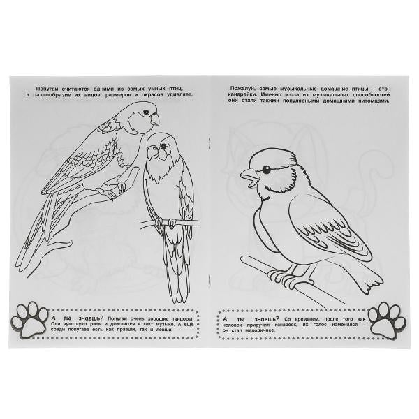 Забота о питомцах. Первая Раскраска А4. 214х290 мм. 16 стр.. Умка в кор.50шт