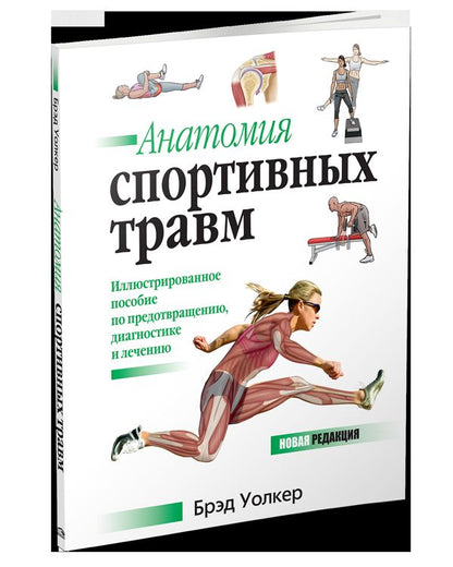 Анатомия спортивных травм