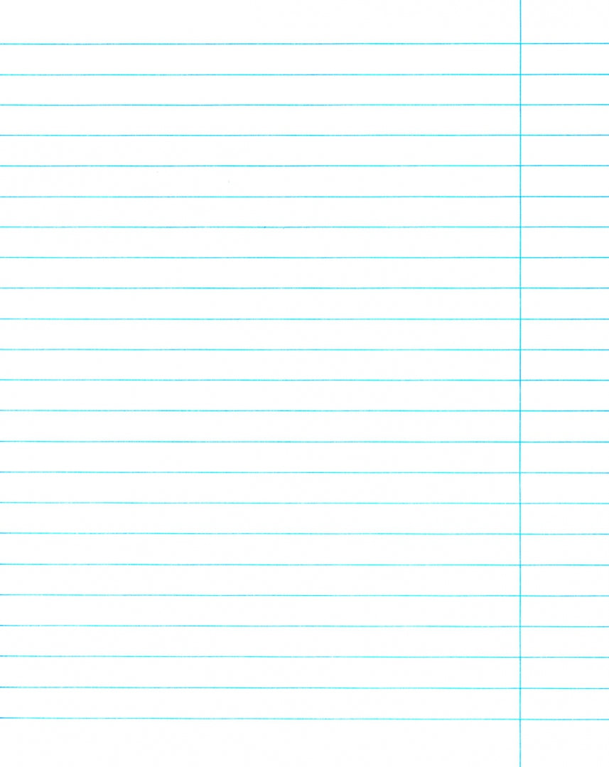 Тетрадь. "День рождения". (Ци Байши ): рабочая тетрадь в линейку, 24 листа