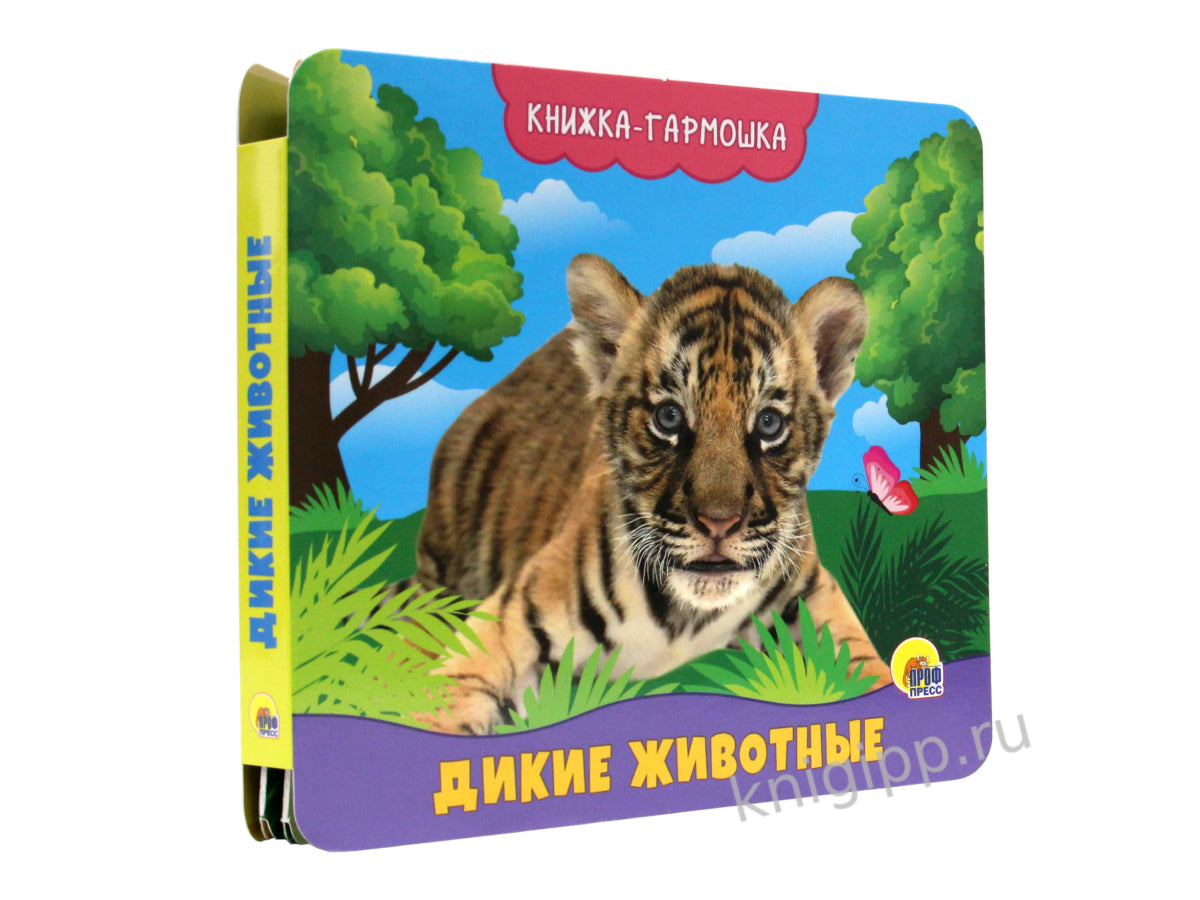КНИЖКА-ГАРМОШКА. ДИКИЕ ЖИВОТНЫЕ