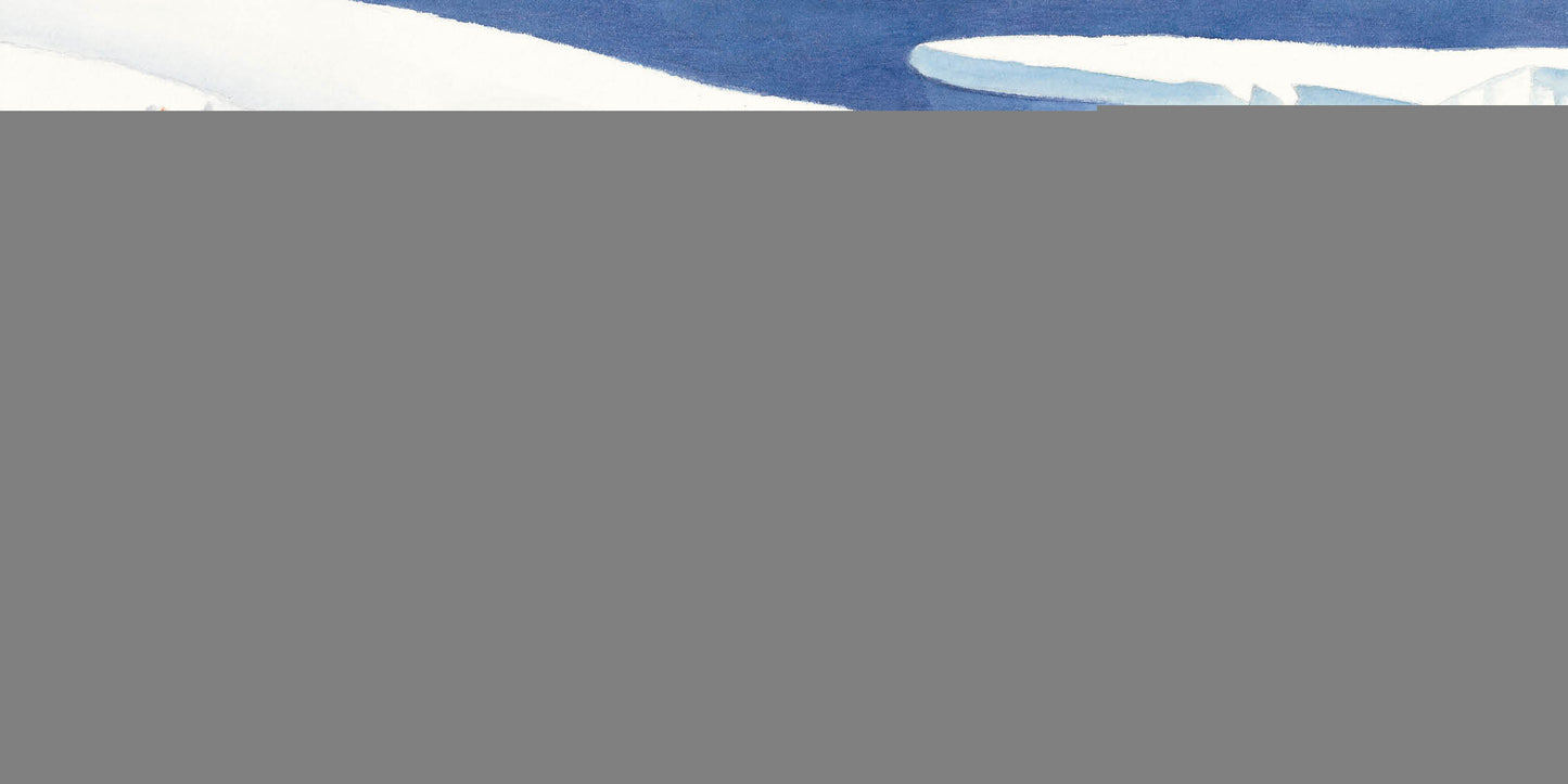 Большой сюрприз для маленького пингвинёнка : [сказка] / Мари-Даниэль Крото ; пер. с франц. ; ил. Ф. Брассар. — М. : Нигма, 2020. — 28 с. : ил.