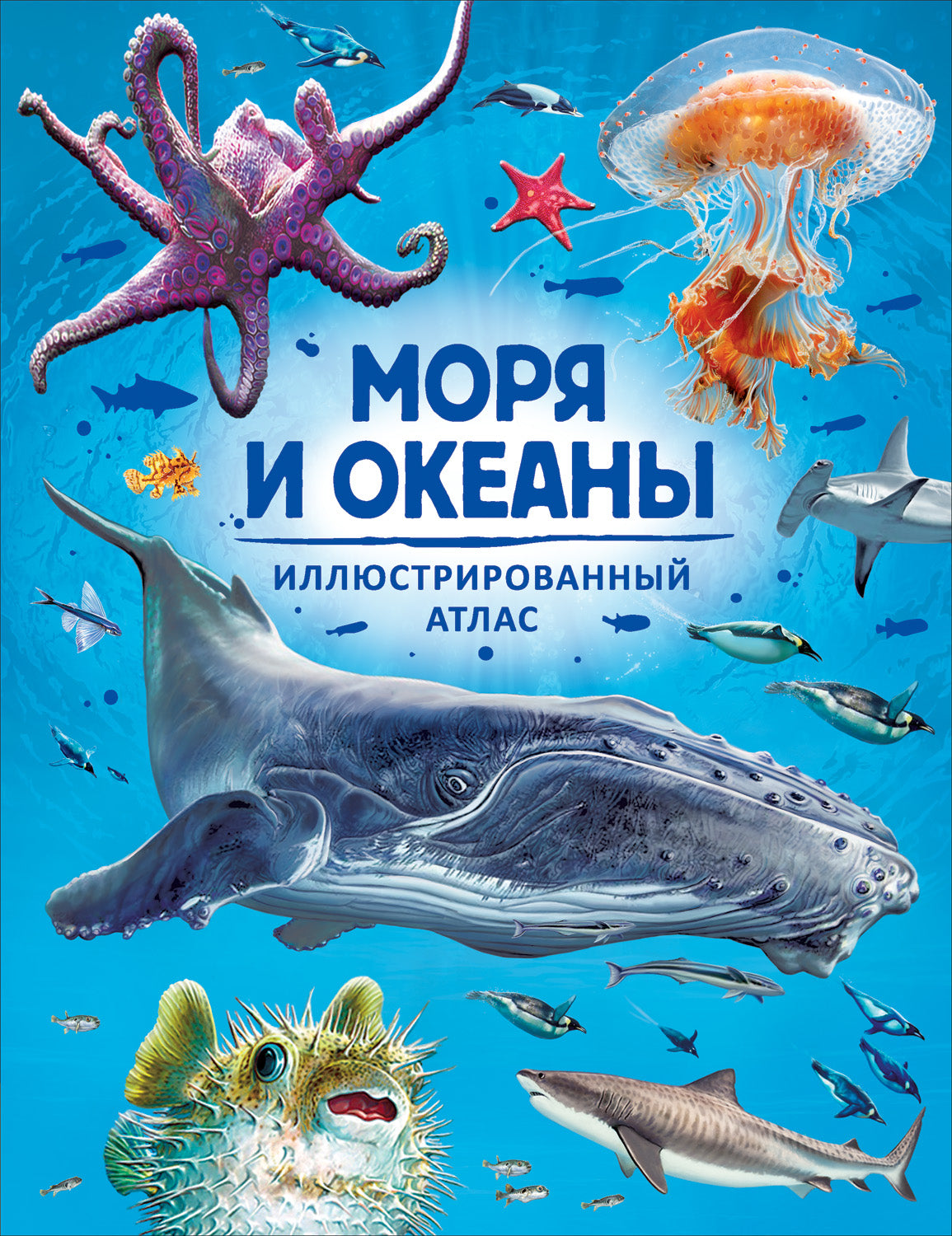 Моря и океаны. Иллюстрированный атлас