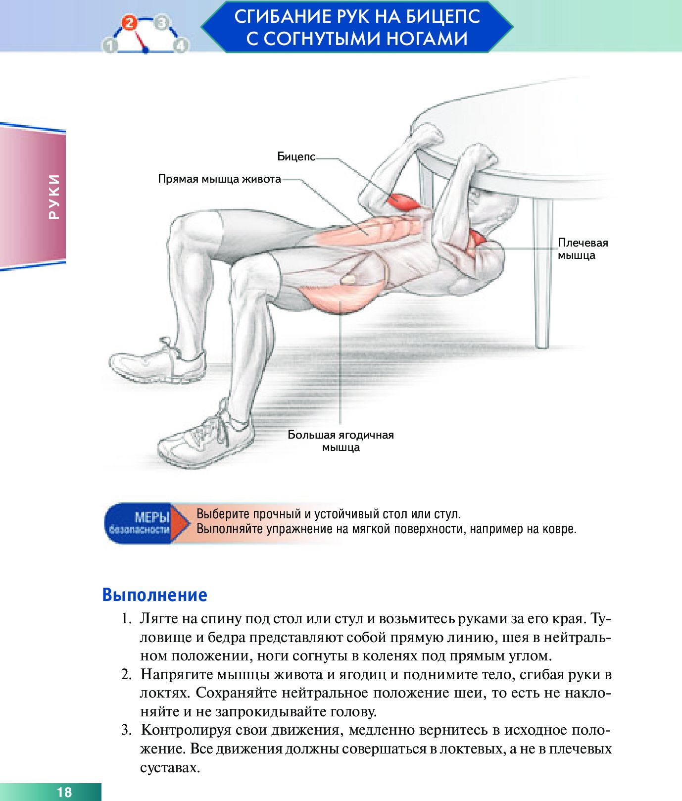 Анатомия силовых упражнений с использованием в качестве отягощения собственного веса