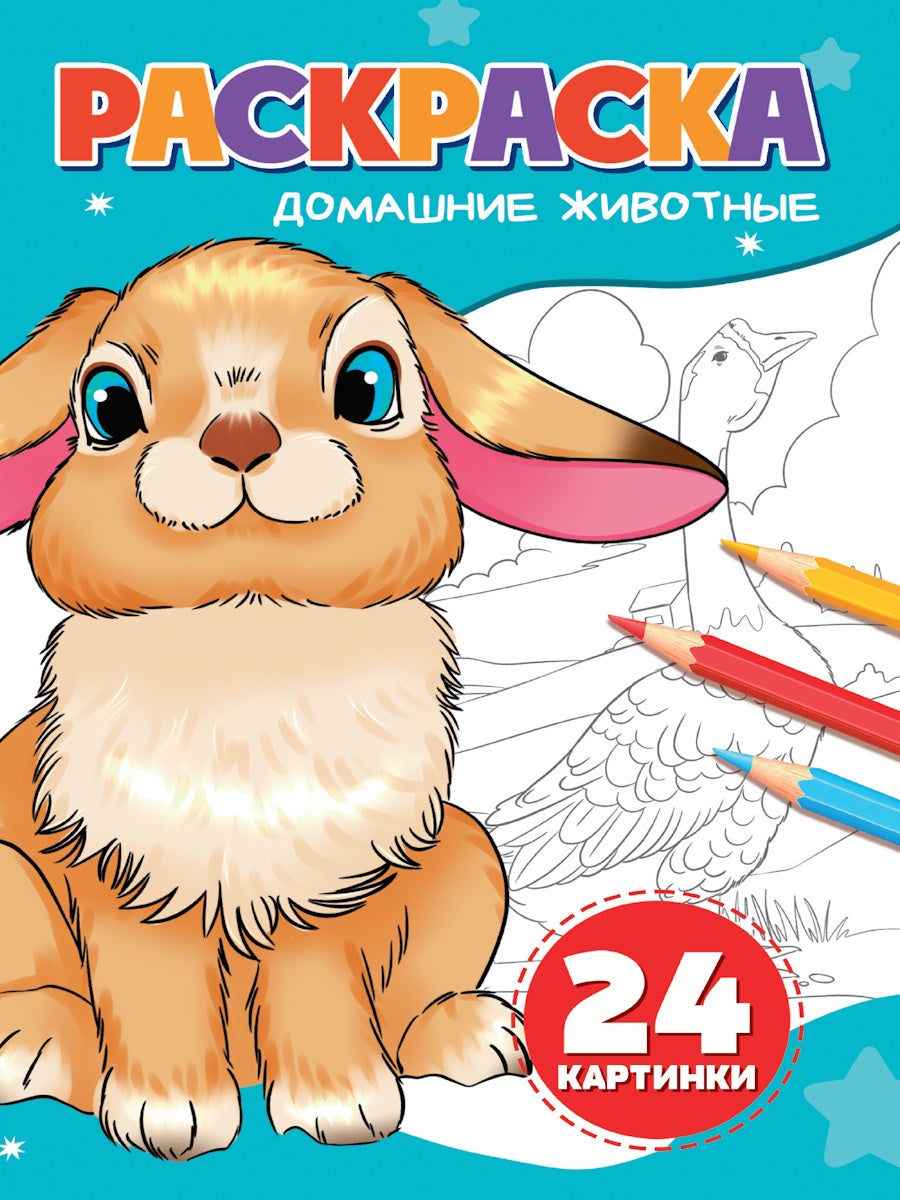 РАСКРАСКА А5. ДОМАШНИЕ ЖИВОТНЫЕ