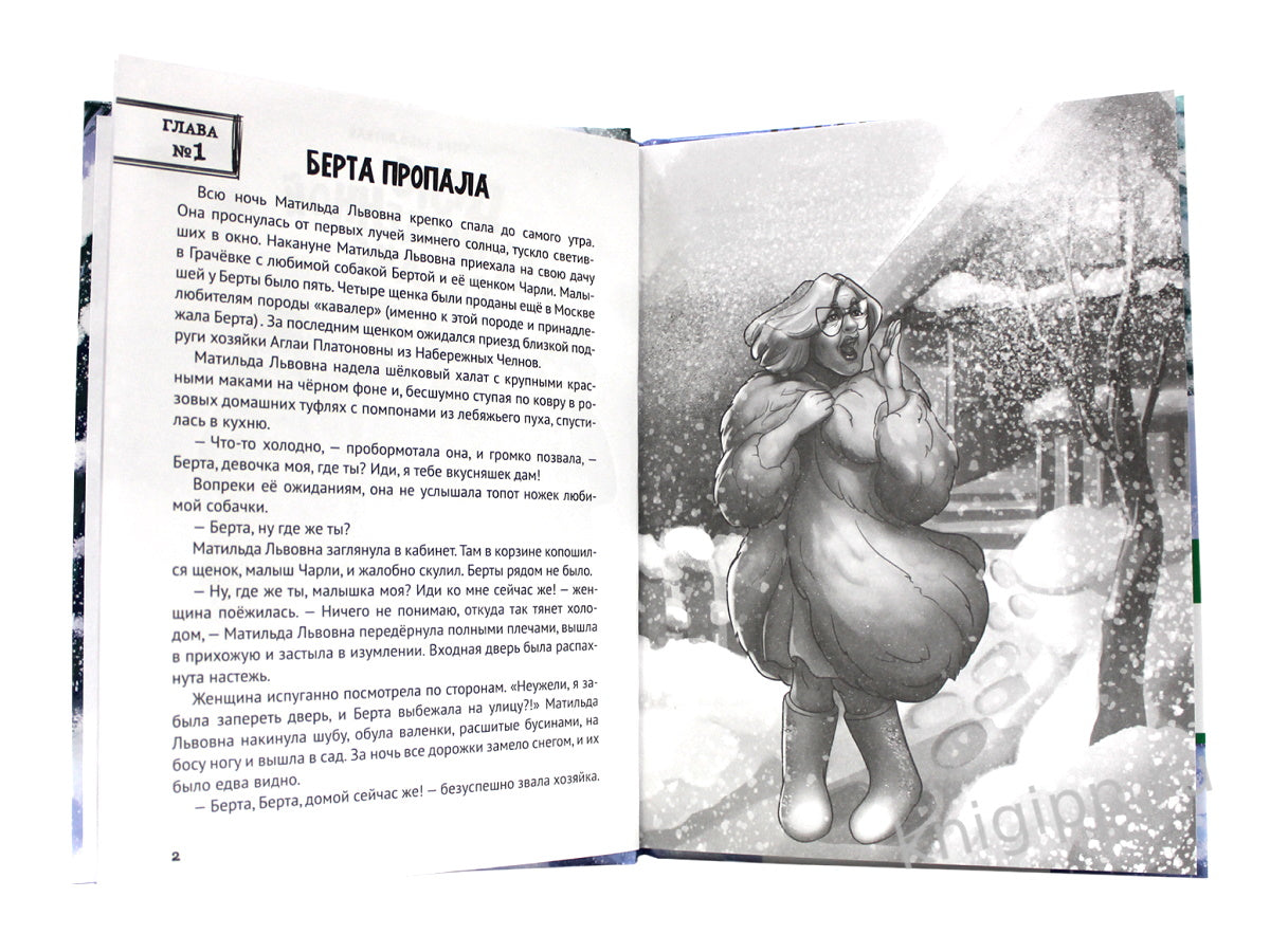 ДЕТСКИЙ ДЕТЕКТИВ. Дело о похищенной собаке