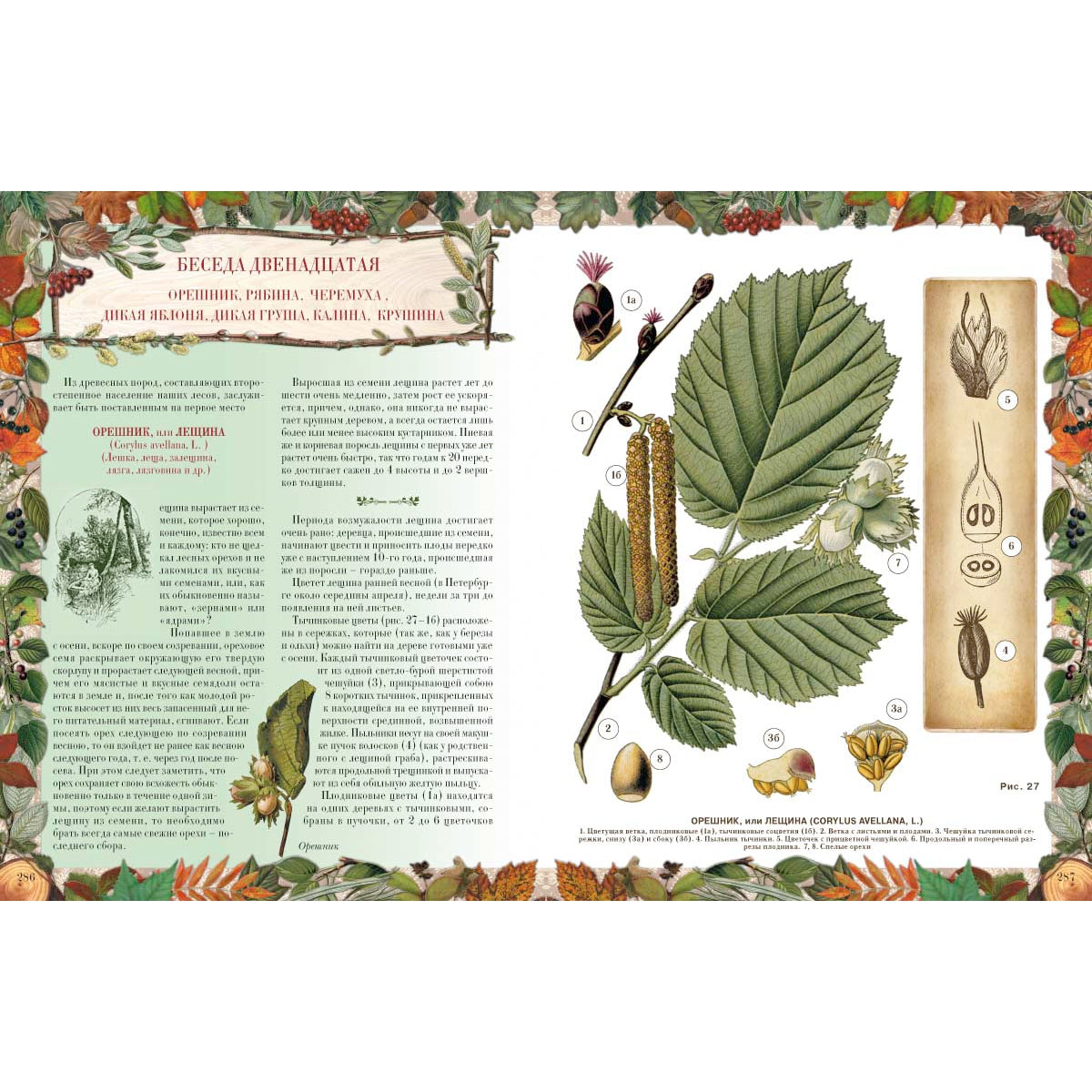 Беседы о русском лесе