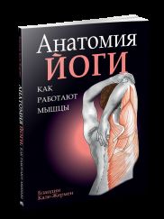 Анатомия йоги: как работают мышцы