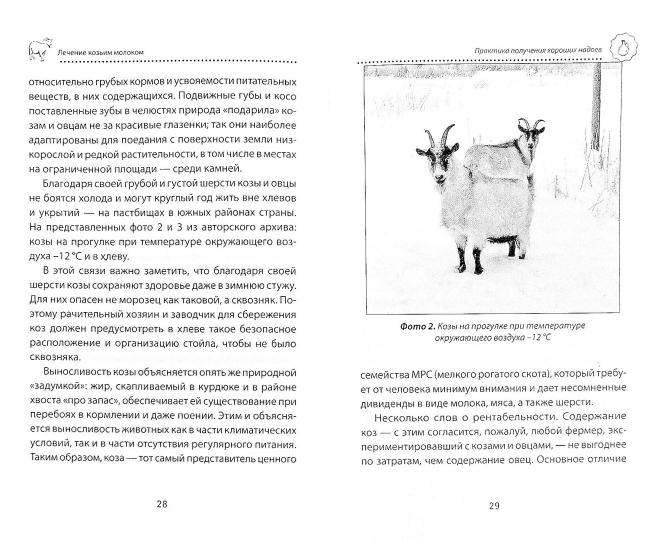 Лечение козьим молоком