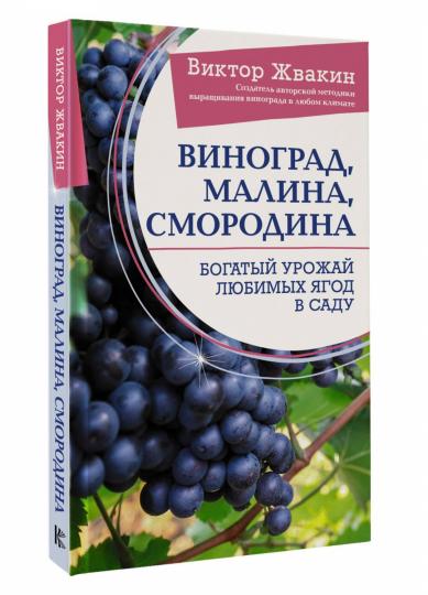 Виноград, малина, смородина. Богатый урожай любимых ягод в саду