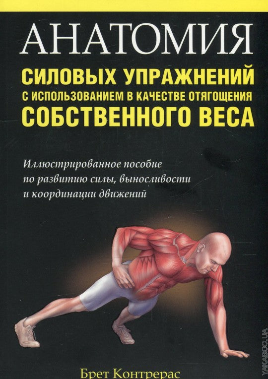 Анатомия силовых упражнений с использованием в качестве отягощения собственного веса
