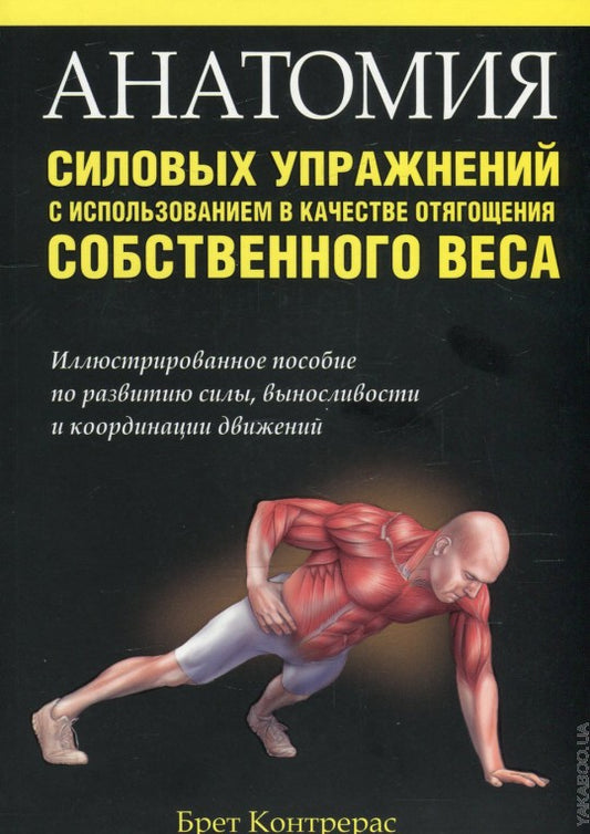 Анатомия силовых упражнений с использованием в качестве отягощения собственного веса