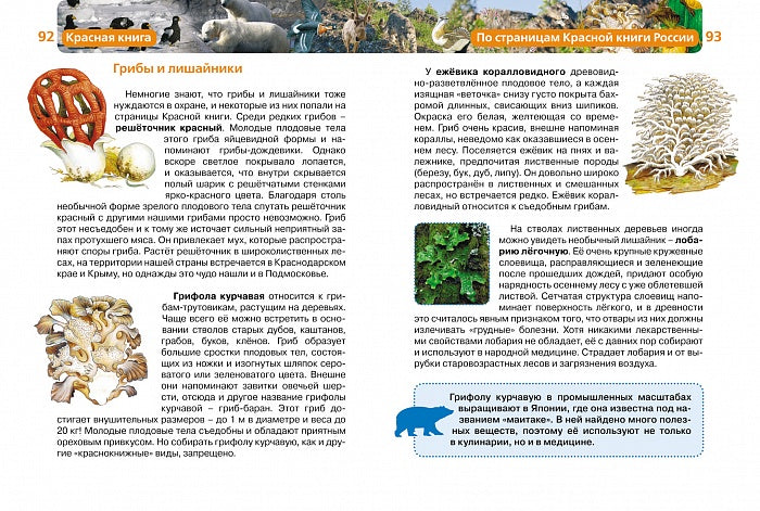 Красная книга (ДЭР)