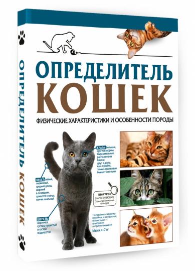 Определитель кошек. Физические характеристики и особенности породы