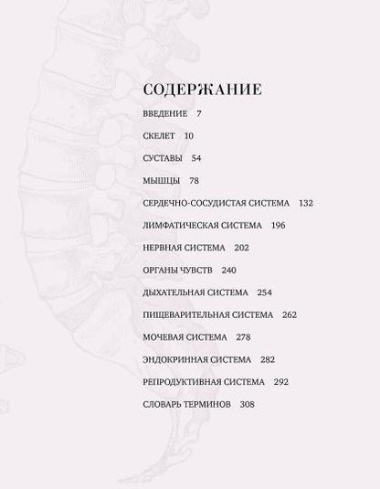 Анатомия