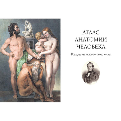 Атлас анатомии человека. Все органы человеческого тела. Большая коллекция