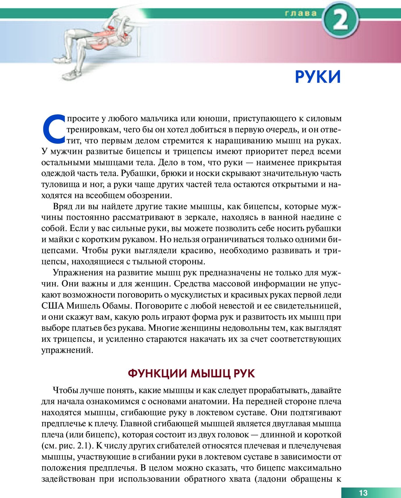 Анатомия силовых упражнений с использованием в качестве отягощения собственного веса