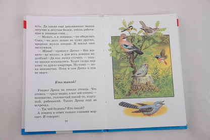 БШ. Тайна ночного леса