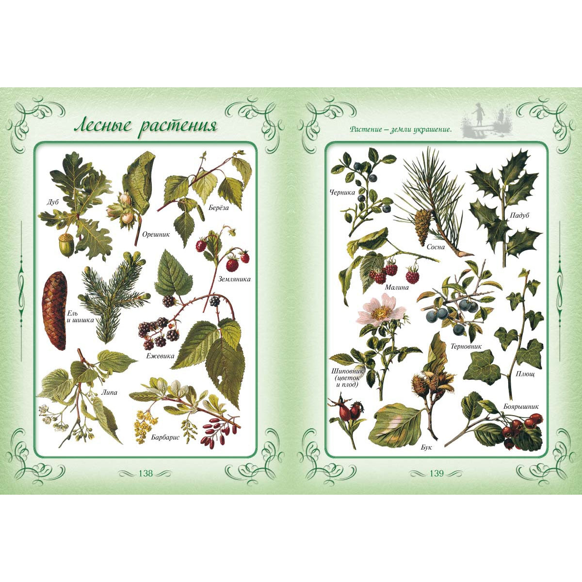 Первая книга наших прабабушек