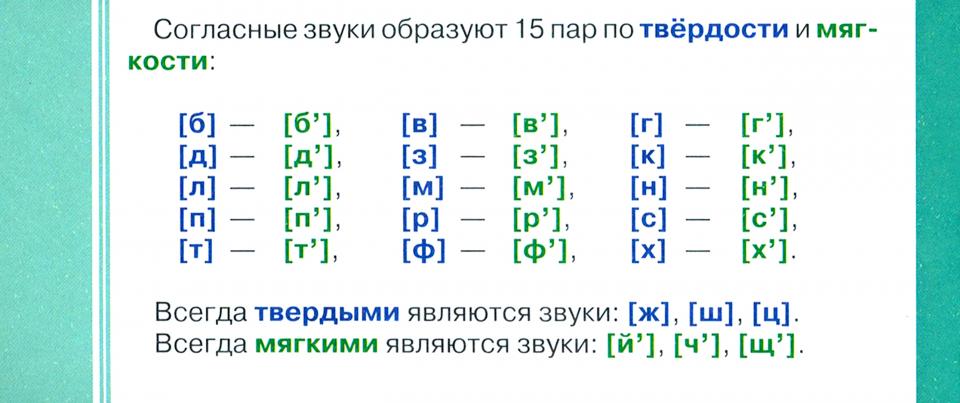 Русский язык. Все виды разбора