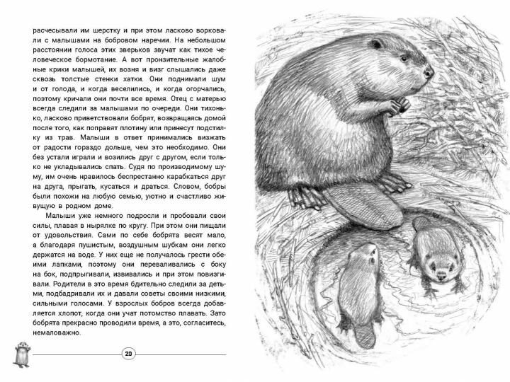 Приключения Саджо и ее бобров (ожидается поступление)