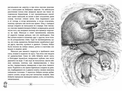 Приключения Саджо и ее бобров (ожидается поступление)