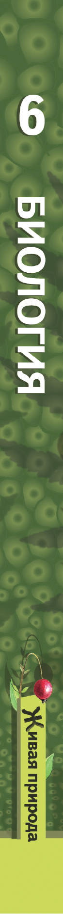 Биология. 6 кл. Учебник.