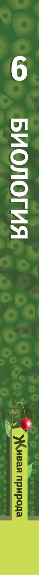 Биология. 6 кл. Учебник.