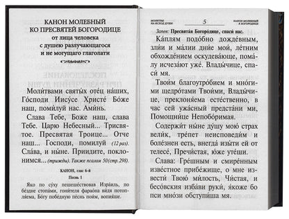 Псалтирь и каноны по усопшим для слабовидящих