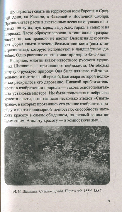 Сныть и мокрица. Мифы и реальность
