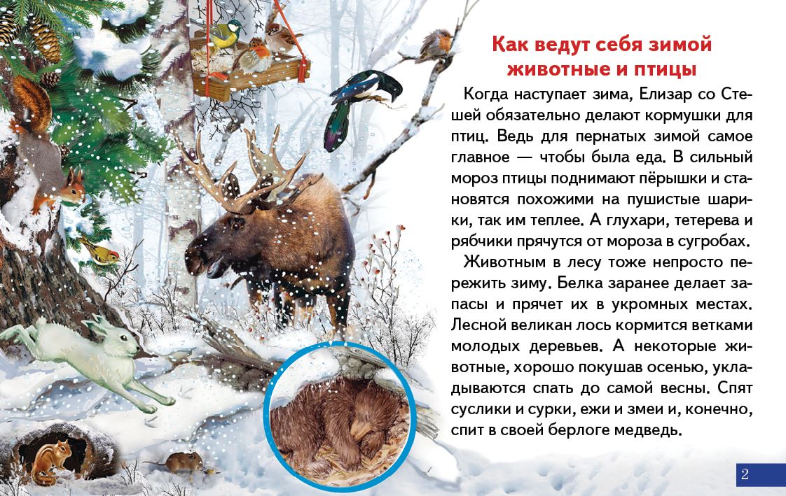 Карточки. Времена года ; Карточки. Времена года