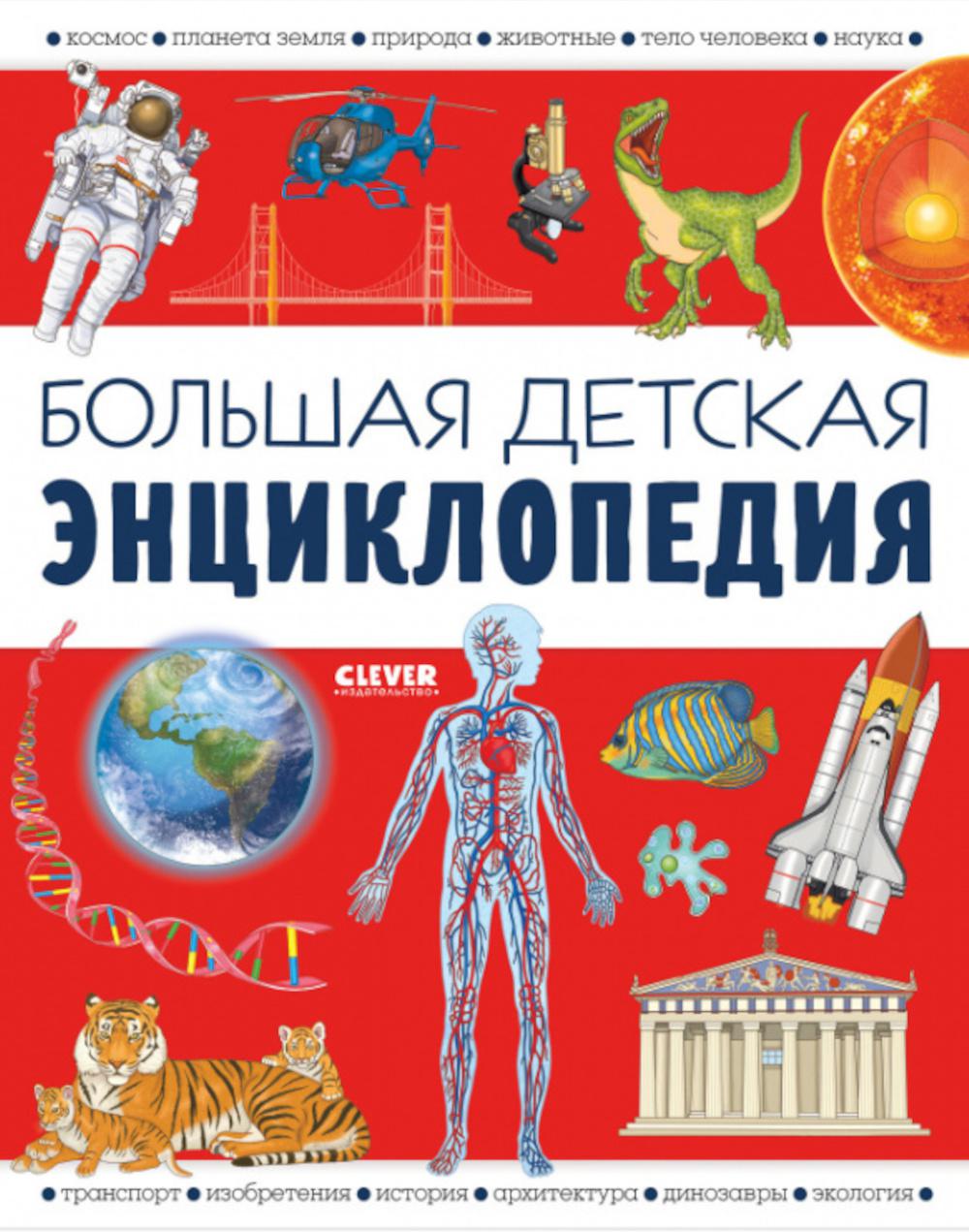Удивительные энциклопедии. Большая детская энциклопедия/Барсотти И.