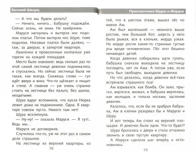 Сказка о потерянном времени. Школьная программа. Шварц Е.