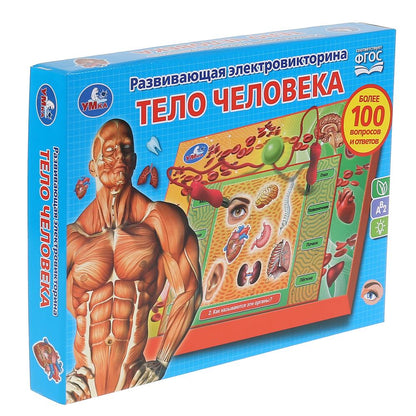 Электровикторина Тело человека, более 100 вопросов и ответов в русс. кор. Умка в кор.24шт