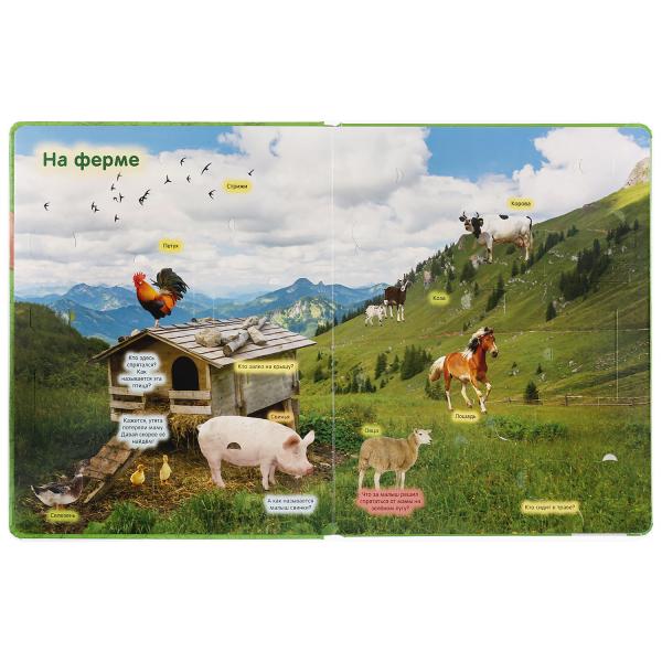 "УМКА". ЖИВОТНЫЕ. 100 ОКОШЕК ДЛЯ МАЛЫШЕЙ. ФОРМАТ: 222Х282 ММ. ОБЪЕМ: 12 КАРТОННЫХ СТР. в кор.12шт