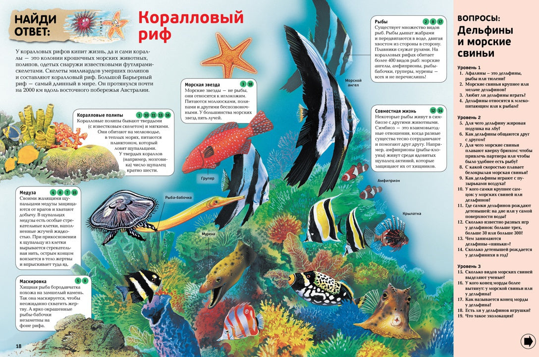 Интерактивная энциклопедия для школьников. Ответы на 1000 вопросов