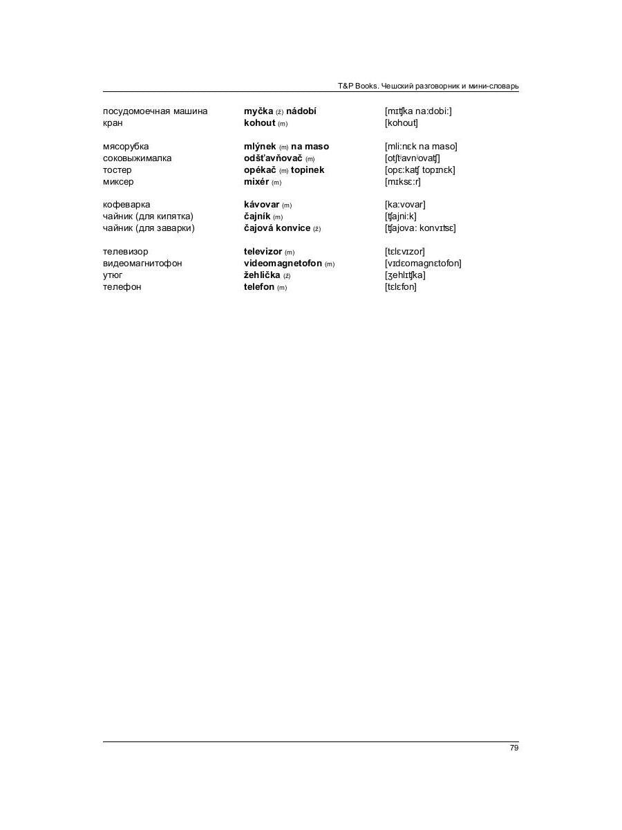 Русско-чешский разговорник и мини-словарь 250 слов