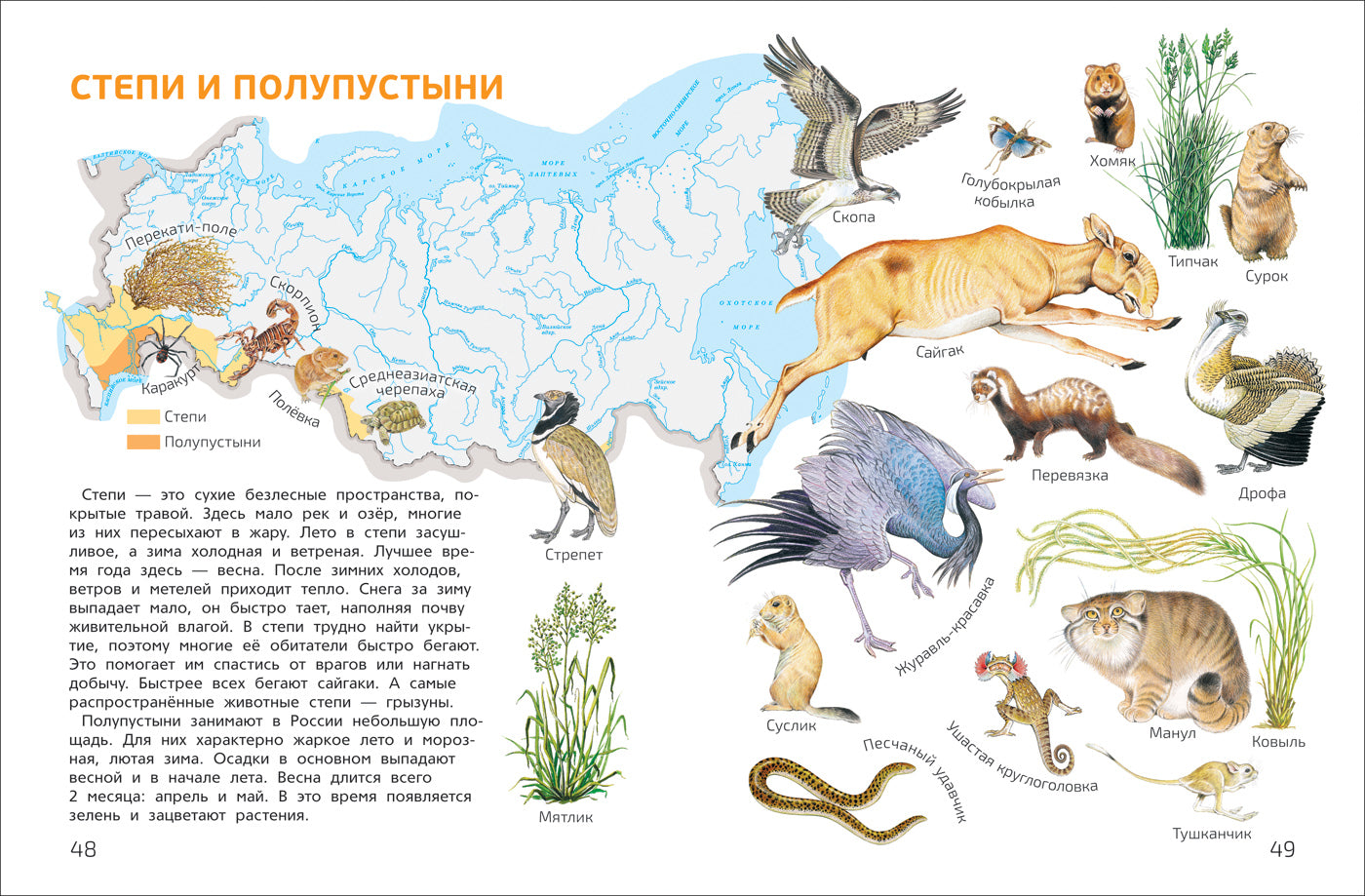 Мир и человек. Мой любимый географический атлас