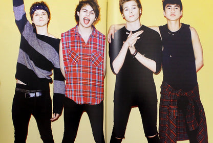 5 Seconds of Summer. История успеха