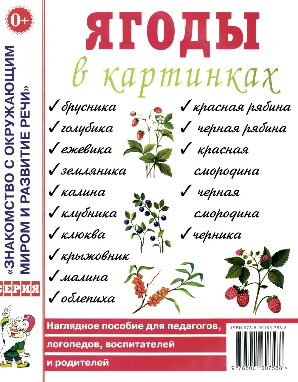 Ягоды в картинках. Наглядное пособие для педагогов, воспитателей, логопедов, родителей. А4